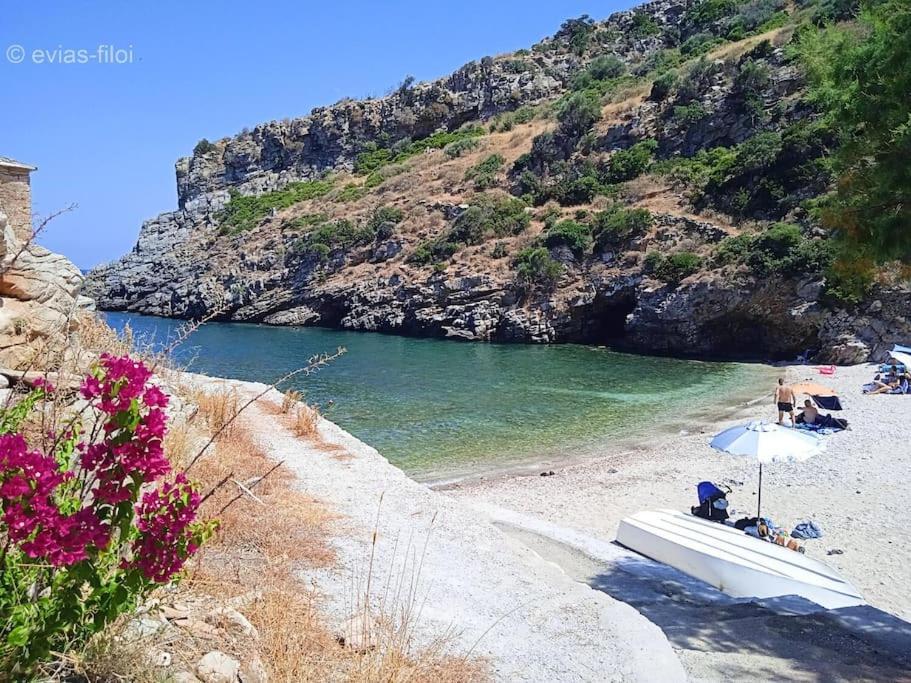 Παραθαλασσιο Σπιτι Στην Εξοχη Villa Tsakei Eksteriør billede
