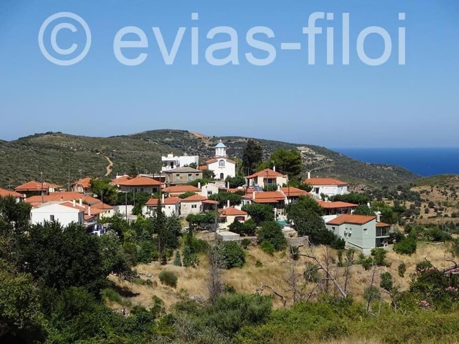 Παραθαλασσιο Σπιτι Στην Εξοχη Villa Tsakei Eksteriør billede