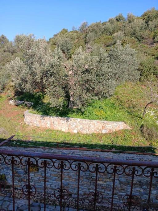 Παραθαλασσιο Σπιτι Στην Εξοχη Villa Tsakei Eksteriør billede