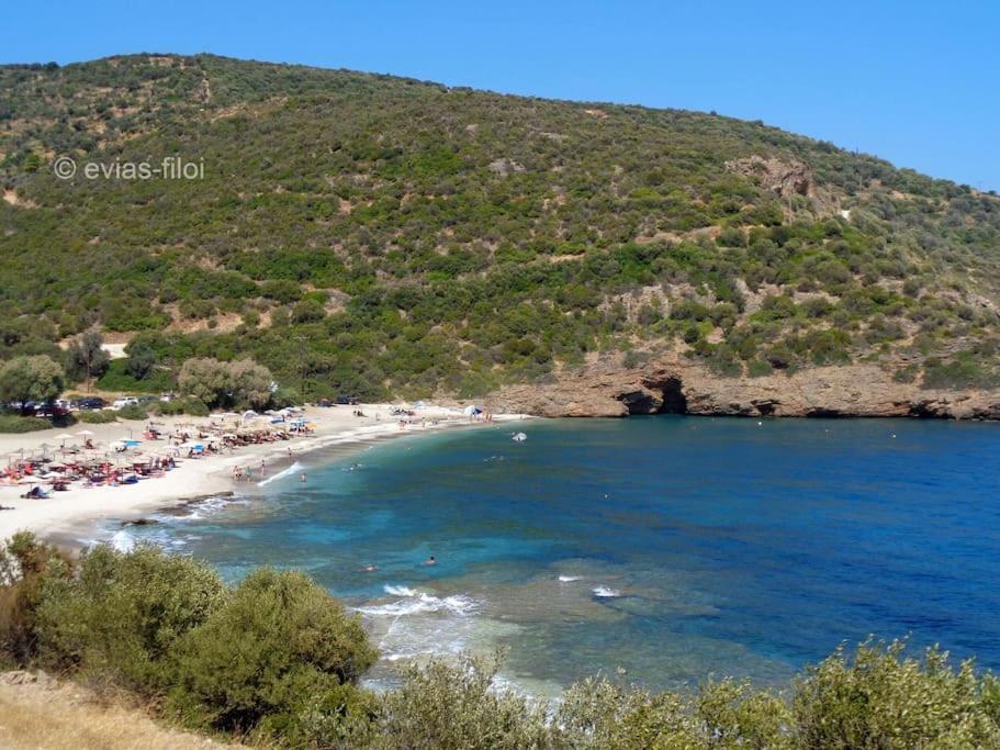 Παραθαλασσιο Σπιτι Στην Εξοχη Villa Tsakei Eksteriør billede